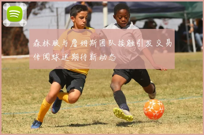森林狼与詹姆斯团队接触引发交易传闻球迷期待新动态