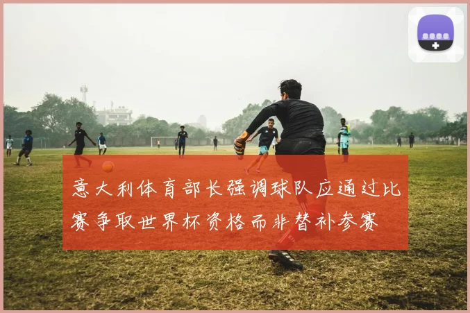 意大利体育部长强调球队应通过比赛争取世界杯资格而非替补参赛