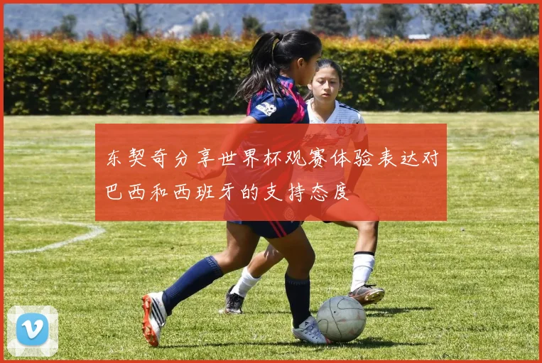东契奇分享世界杯观赛体验表达对巴西和西班牙的支持态度
