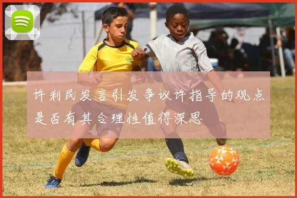 许利民发言引发争议许指导的观点是否有其合理性值得深思